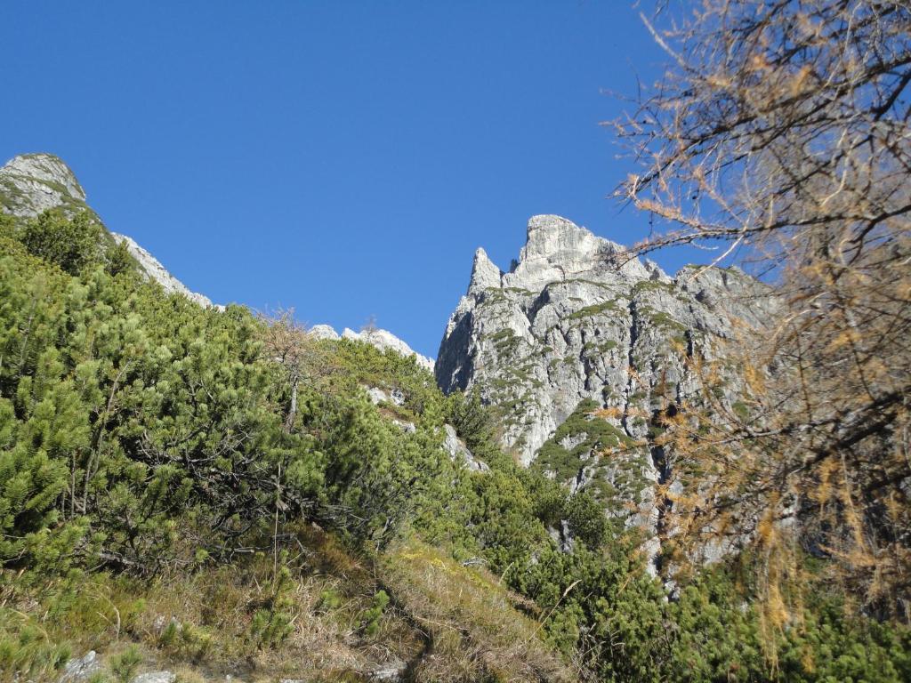 Gasthof Brentwirt ξενώνας Leogang Εξωτερικό φωτογραφία