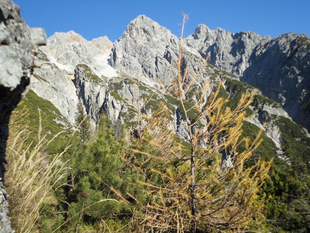 Gasthof Brentwirt ξενώνας Leogang Εξωτερικό φωτογραφία