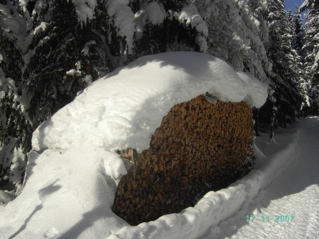 Gasthof Brentwirt ξενώνας Leogang Εξωτερικό φωτογραφία