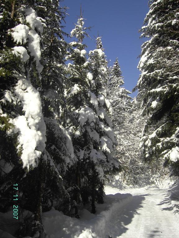 Gasthof Brentwirt ξενώνας Leogang Εξωτερικό φωτογραφία